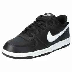 Big Nike Low