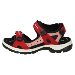 Ecco Offroad