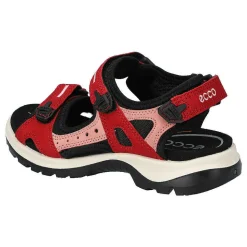 Ecco Offroad