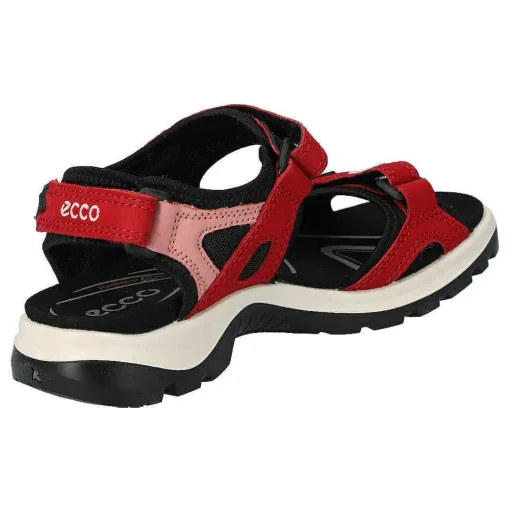 Ecco Offroad