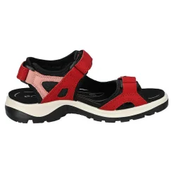 Ecco Offroad