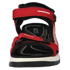 Ecco Offroad