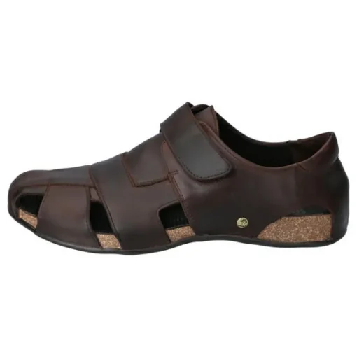 Fletcher Basics C1
