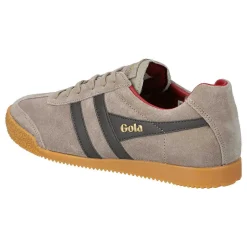 Harrier Suede