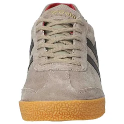 Harrier Suede