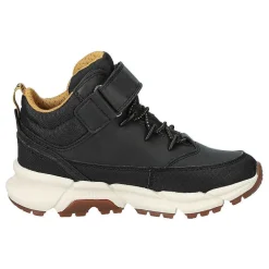 J Flexyper Plus Babx