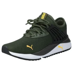 Pacer Future