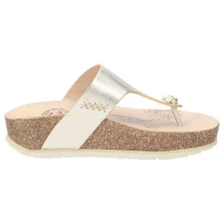 Quinoa Shine B3