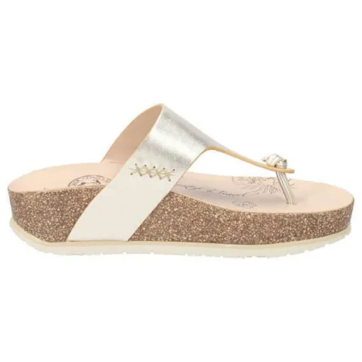 Quinoa Shine B3