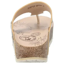 Quinoa Shine B3