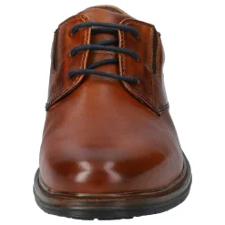 Ruggiero Comfort Evo