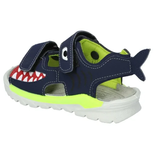 Shark