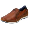 Tomeo Eco