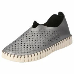 Tulip Flats