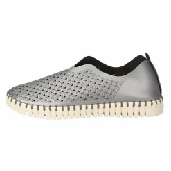 Tulip Flats