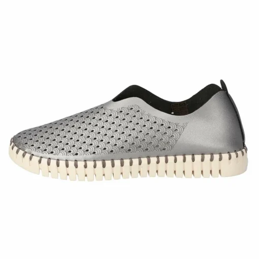 Tulip Flats