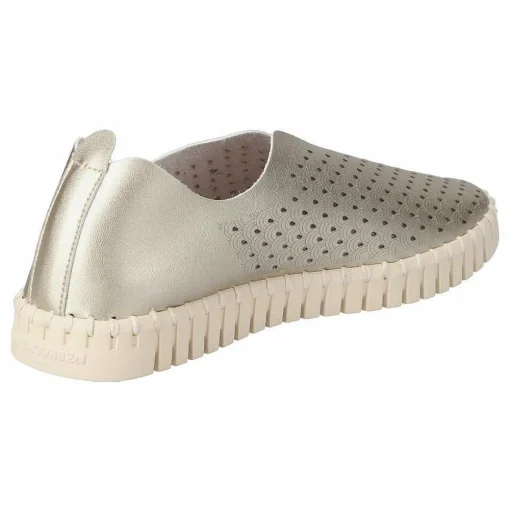 Tulip Flats