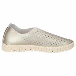 Tulip Flats