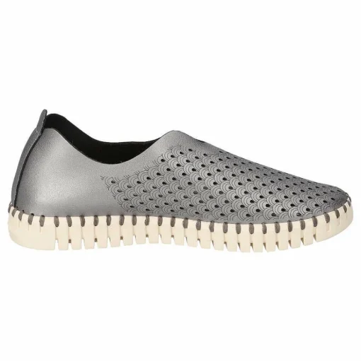 Tulip Flats